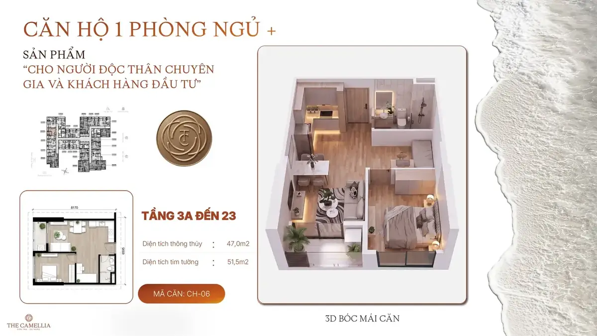 1 phòng ngủ + 1